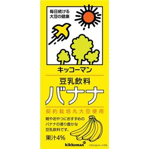 （まとめ買い）【ケース販売】紀文 豆乳飲料 バナナ 1000ml×6本×3セット