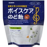 （まとめ買い）カンロ ボイスケアのど飴 29g×6袋×12セット
