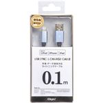 （まとめ買い）Digio2 USB充電・データ通信対応 ライトニングケーブル フラットタイプ 0.1m グレー LNC-F01GY×2セット