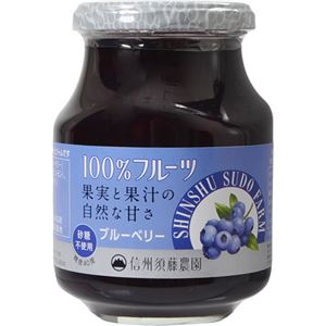 （まとめ買い）信州須藤農園 100%フルーツブルーベリー 430g×10セット