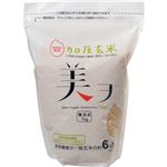 （まとめ買い）加圧玄米 美ヲ(無洗米) 1kg×3セット