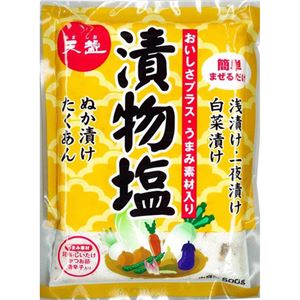 （まとめ買い）天塩 天塩の漬物塩 500g×24セット