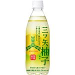 （まとめ買い）【ケース販売】三ツ矢サイダー 柚子 500ml×24本×2セット