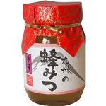 （まとめ買い）九州のれんげ蜂蜜 500g×3セット