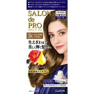 （まとめ買い）サロンドプロ ザ・クリームヘアカラー (白髪用) 3Cキャラメルブラウン×3セット