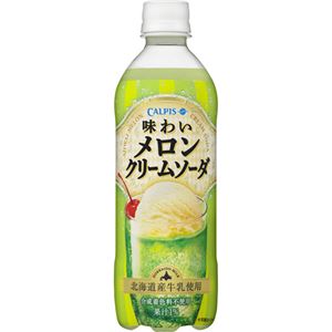 （まとめ買い）【ケース販売】カルピス 味わいメロンクリームソーダ 500ml×24本×2セット