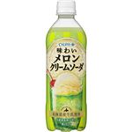 （まとめ買い）【ケース販売】カルピス 味わいメロンクリームソーダ 500ml×24本×2セット