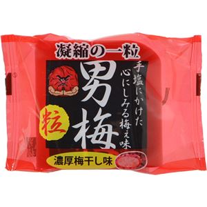 （まとめ買い）【ケース販売】ノーベル 男梅粒 14g×6袋×6セット