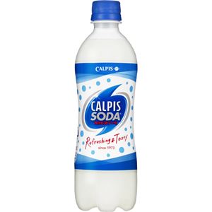 （まとめ買い）【ケース販売】カルピスソーダ 500ml×24本×2セット