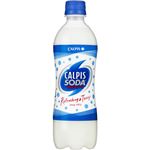 （まとめ買い）【ケース販売】カルピスソーダ 500ml×24本×2セット