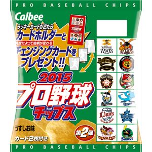 （まとめ買い）【ケース販売】カルビー 2015プロ野球チップス第2弾 22g×24袋×3セット