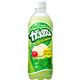 【ケース販売】がぶ飲み メロンクリームソーダ 500ml×24本
