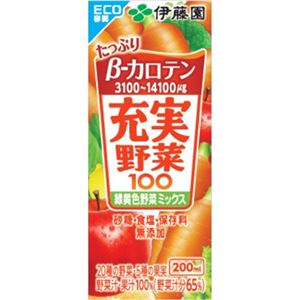 （まとめ買い）【ケース販売】伊藤園 充実野菜100 緑黄色野菜ミックス 200ml×24本×2セット