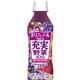 (まとめ買い)【ケース販売】伊藤園 充実野菜100 ブルーベリーミックス 265g×24本×2セット