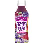 （まとめ買い）【ケース販売】伊藤園 充実野菜100 ブルーベリーミックス 265g×24本×2セット