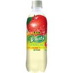 【ケース販売】Vivit's スパークリング アップル炭酸 450ml×24本