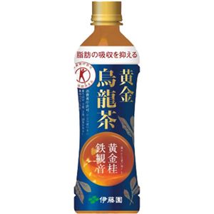 （まとめ買い）【ケース販売】黄金烏龍茶 500ml×24本×2セット