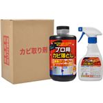 （まとめ買い）プロ用カビ落とし専用クリーナー 1000ml×2セット