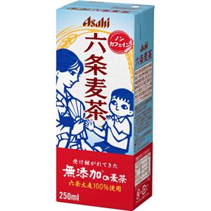 （まとめ買い）【ケース販売】アサヒ 六条麦茶 250ml×24本×2セット