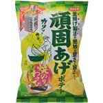 （まとめ買い）【期間限定】【ケース販売】コイケヤ 頑固あげポテト 焼のりわさび味 55g×12個×4セット