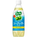 （まとめ買い）【ケース販売】グリーンバヤリース シークヮサー 500ml×24本×2セット