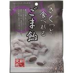 （まとめ買い）さくっと食べれる ごま飴 60g×22セット