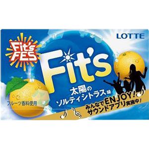 （まとめ買い）【ケース販売】ロッテ フィッツ 太陽のソルティシトラス味 12枚×10個×14セット