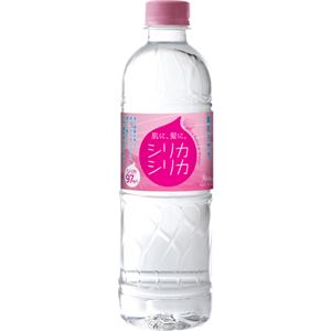 （まとめ買い）【ケース販売】美いね! シリカシリカ 500ml×24本×2セット