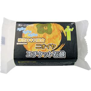 （まとめ買い）柿渋(カキタンニン)エキス配合 ニオイヤ エチケット石鹸 120g×4セット