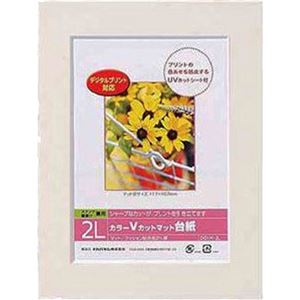 （まとめ買い）ナカバヤシ カラーVカットマット台紙 2Lサイズ ホワイト DGVM-2L-W×10セット - 拡大画像