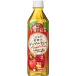 （まとめ買い）【ケース販売】キリン 午後の紅茶 こだわり素材のアップルティー 500ml×24本×2セット