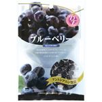 （まとめ買い）共立食品 ブルーベリー 50g×13セット