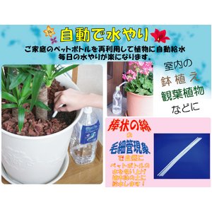 水やり楽だぞぅ　4本入り