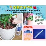 水やり楽だぞぅ　4本入り