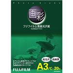 （まとめ） 富士フィルム FUJI 画彩 高級光沢紙 A3ノビ G3A3N20A 1冊（20枚） 【×2セット】