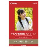 （まとめ） キャノン Canon 写真用紙・光沢 ゴールド 印画紙タイプ GL-101A3N20 A3ノビ 2310B009 1冊（20枚） 【×2セット】