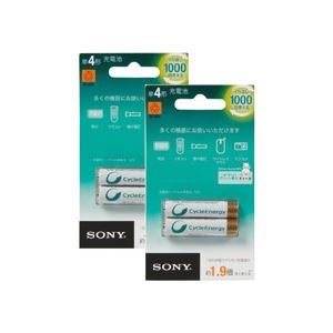 （まとめ）充電式ニッケル水素電池 サイクルエナジーゴールド 単4形2本入×2パック