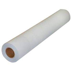（まとめ）HP スタンダード半光沢フォト紙 610mm×30m 2本