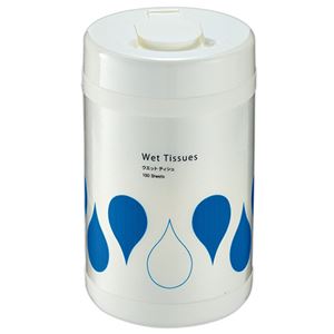 (まとめ) TANOSEE ウェットティッシュ ボトル本体 1本(100枚) 【×10セット】 (まとめ) TANOSEE ウェットティッシュ ボトル本体 1本(100枚) 【×10セット】