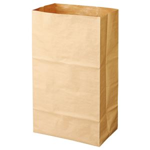 （まとめ） クラフトマン 特大紙製ゴミ袋（ヒモ付き片貼り） クラフト HKT-058 1パック（3枚） 【×10セット】 - 拡大画像
