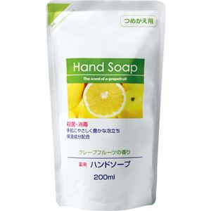 (まとめ) 第一石鹸 薬用ハンドソープ 詰替用 200ml 1個 【×30セット】 商品写真