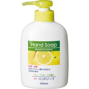 (まとめ) 第一石鹸 薬用ハンドソープ 本体 250ml 1個 【×20セット】 商品画像