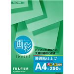 （まとめ） 富士フィルム FUJI 画彩 普通紙仕上げ A4 HKA4250 1冊（250枚） 【×10セット】