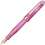 プラチナ 万年筆 #3776センチュリーニース 細字 リラ （化粧箱入） PNB-20000R#22-2 1本