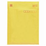 （まとめ） マルアイ ワンタッチセーフパック一般書籍等用 内寸210×255mm SP-TM130 1パック（10枚） 【×5セット】