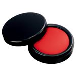 （まとめ） TANOSEE 速乾朱肉 40号直径44mm 1個 【×10セット】