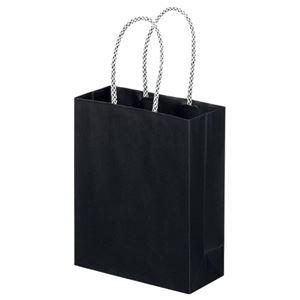 （まとめ） スーパーバッグ ライナー手提袋 小ヨコ165×タテ200×マチ幅75mm 黒 0998900100 1パック（10枚） 【×5セット】