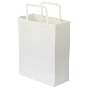 （まとめ） TANOSEE 紙手提袋 平紐 特小ヨコ200×タテ245×マチ幅90mm 白無地 1パック（30枚） 【×10セット】