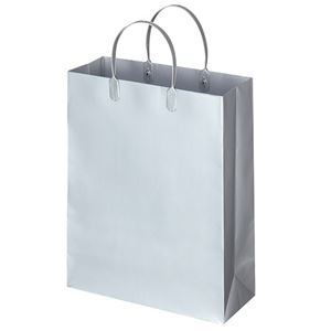 （まとめ） TANOSEE ラミネートバッグ 中縦タイプ シルバー 1パック（10枚） 【×5セット】