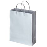 （まとめ） TANOSEE ラミネートバッグ 中縦タイプ シルバー 1パック（10枚） 【×5セット】